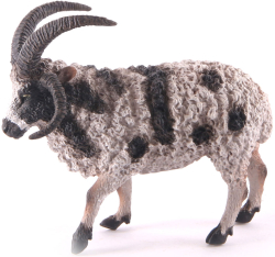 Овца четырехрогая (L)